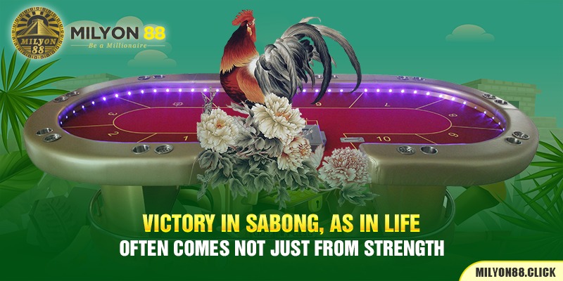victory-in-sabong,-as-in-life,-often-comes-not-just-from-strength