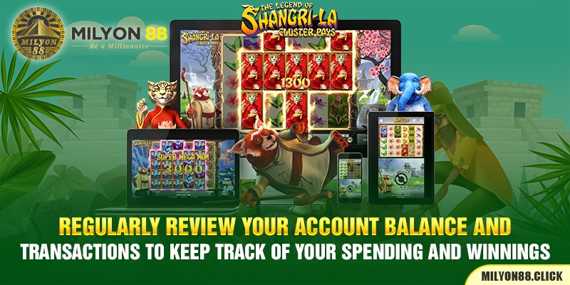 regularly-review-your-account-balance-and-transactions-to-keep-track-of-your-spending-and-winnings